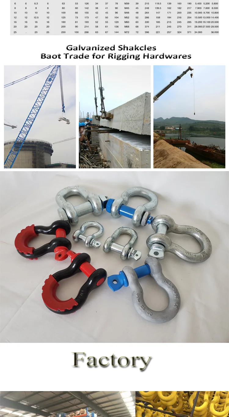 Galvanized Screw Pin US Dee Type Marine Rigging Chain D Shackle
