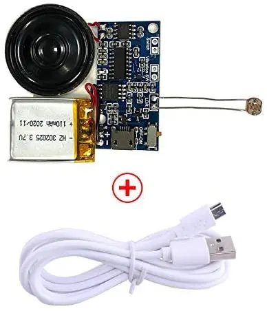 Mini Pre-recorded Light Sensor Activated Sound Voice Music Chip Module With Motion Sensor for Gift Box