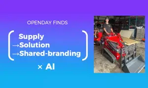 卷价格不如卷服务！出单量飙升背后，他们正在定义品牌出海新公式