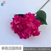 Sola Hortensia francesa LFY rosa roja