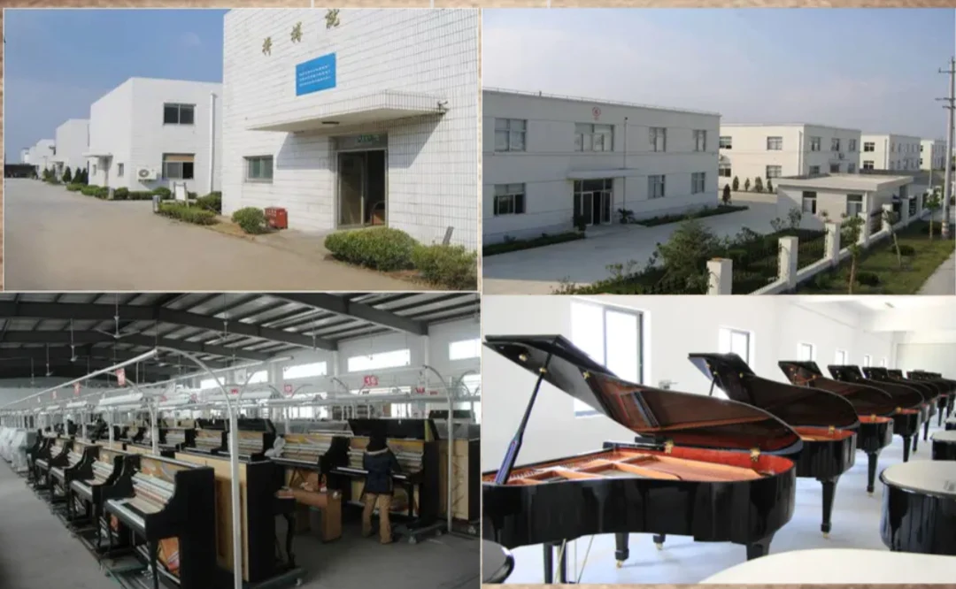 Shanghai Wiki Technology Co., Ltd. 3