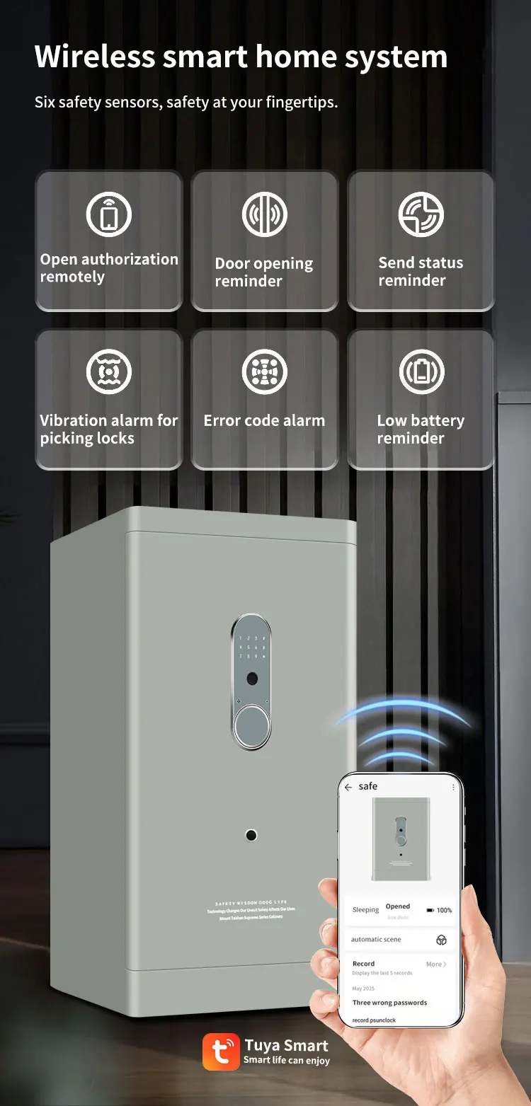 CEQSAFE Smart Home TUYA APP WIFI Safes Fingerprint & Password Anti-Theft Safe Box manufacture