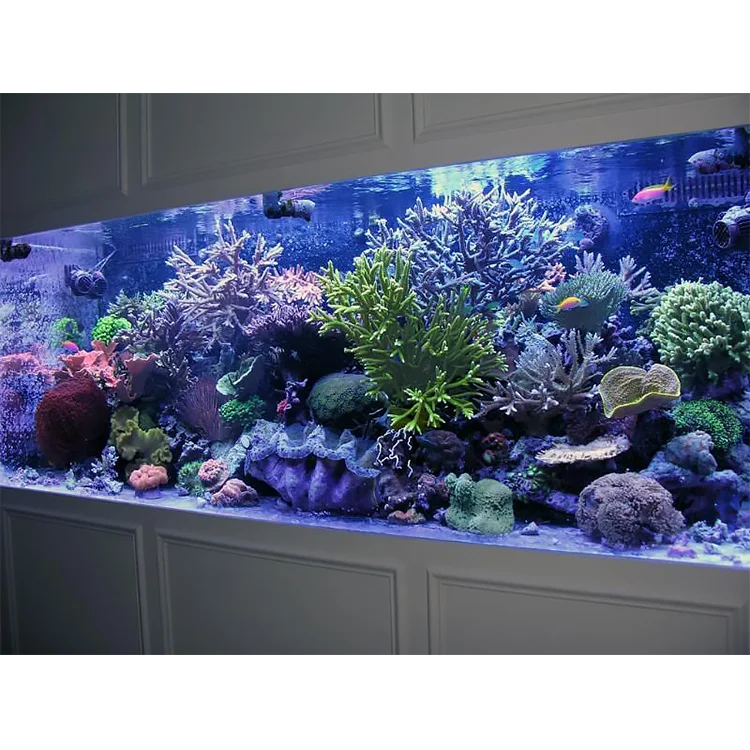 Large Design Customized Wall Mount Aquarium