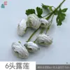 ดอกบัวน้ำค้าง 6 หัว HN สีขาว