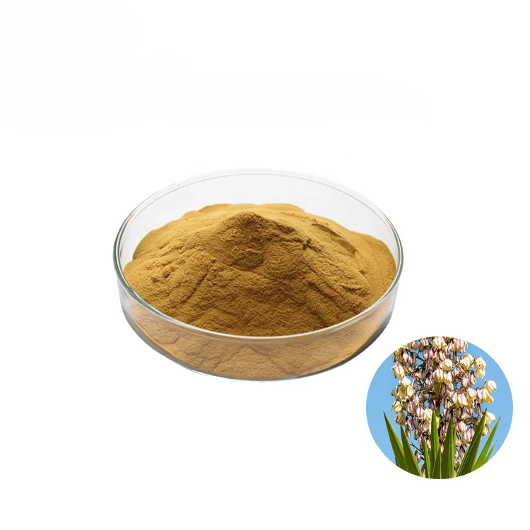 supply yucca extract powder/ yucca schidigera extract with top