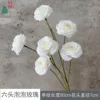 Six-headed Bubble Rose XWJ White