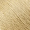 #18-Champagne Blonde