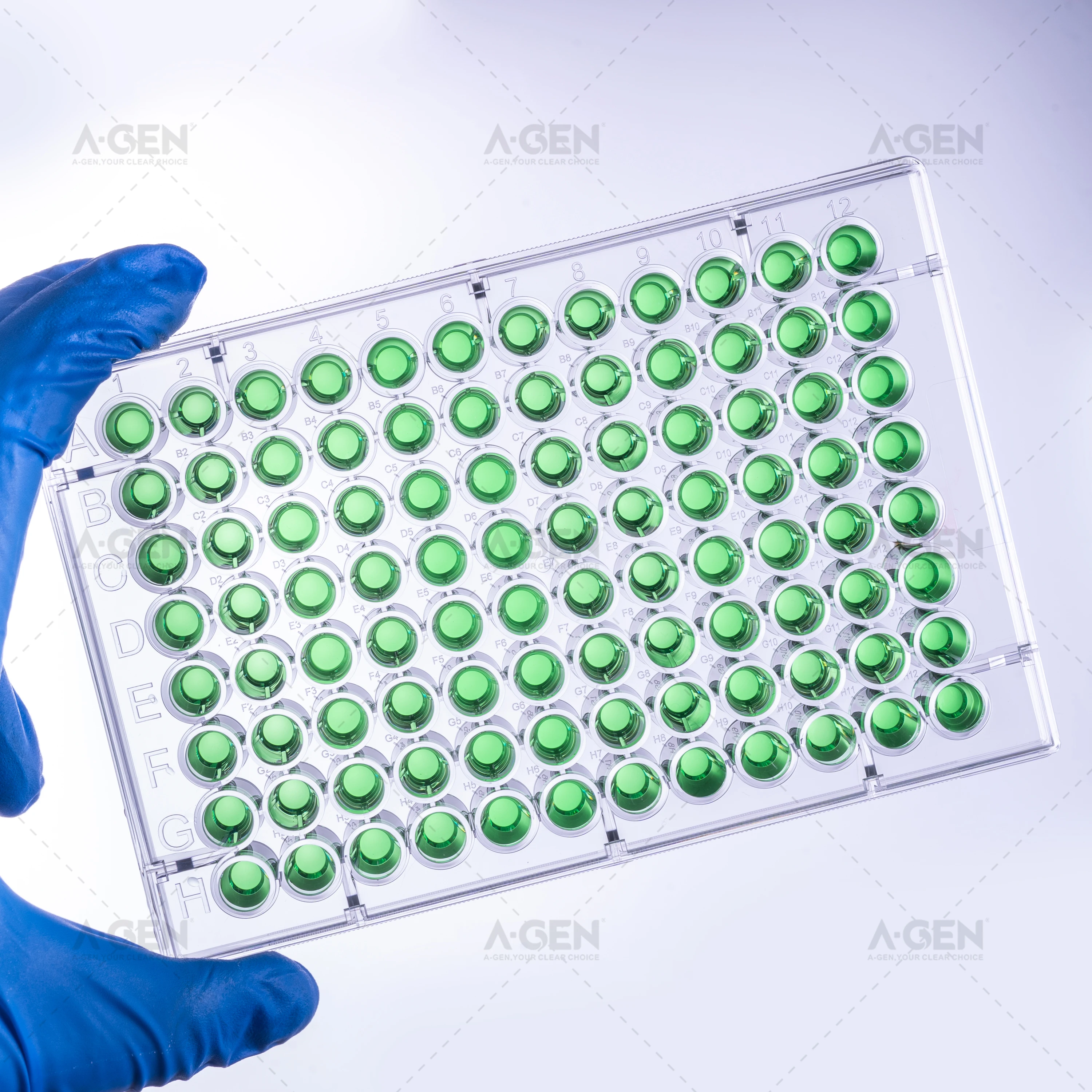 High Adsorption 96 Well Elisa Plate - Flat Bottom Microplate