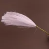 สีม่วง