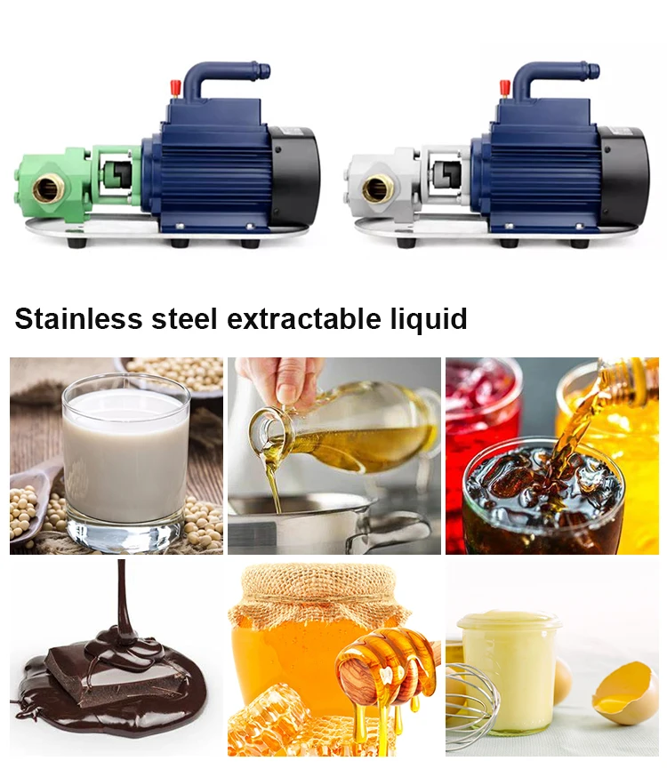 Portable Wcb Stainless Steels Electric 110v 220v Food Grade Lube Oil Transfer Oil Gear Pump High
