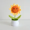 sorriso girasole