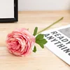 rosa2
