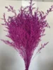 Rosso porpora