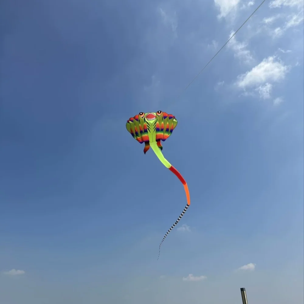 3D 12.5M 2-color Ray Soft Kite Outdoor Beach Professional Kites Umbrella Cloth Waterproof and Tear Resistant Inflatable Kite
