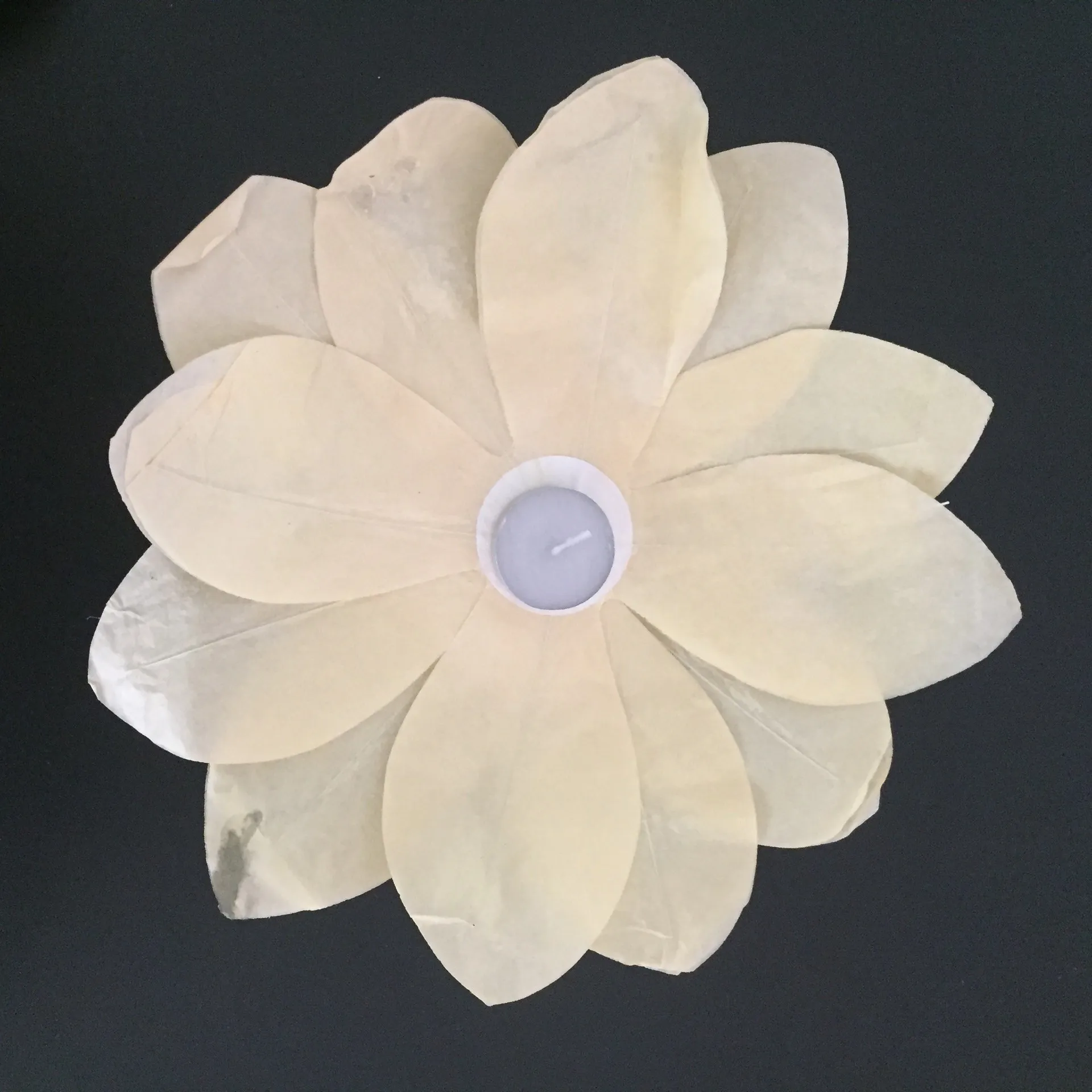 Биоразлагаемый плавающий