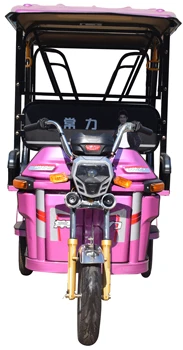 緑色の三輪車人力車 71UClrYnRxL._UF894,1000_QL80_.jpg