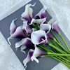 Bianco-viola