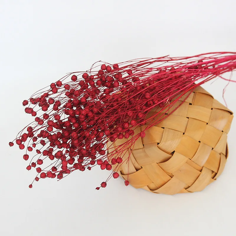 Wholesale Top Quality Jequirity Bean Dry Jumble Beads Bouquet Bulk Dried Flowers Decoration