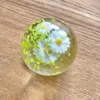 5cm Spring Daisy-opp packaging