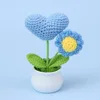 Blue-Caring Daisy Potted Plant