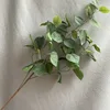 Blanco-verde largo