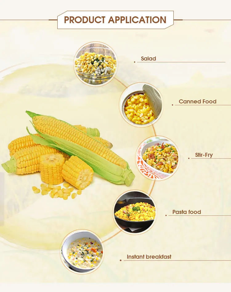 Organic Freeze Dried Yellow Sweet Corn Extract Powder Buy Freeze