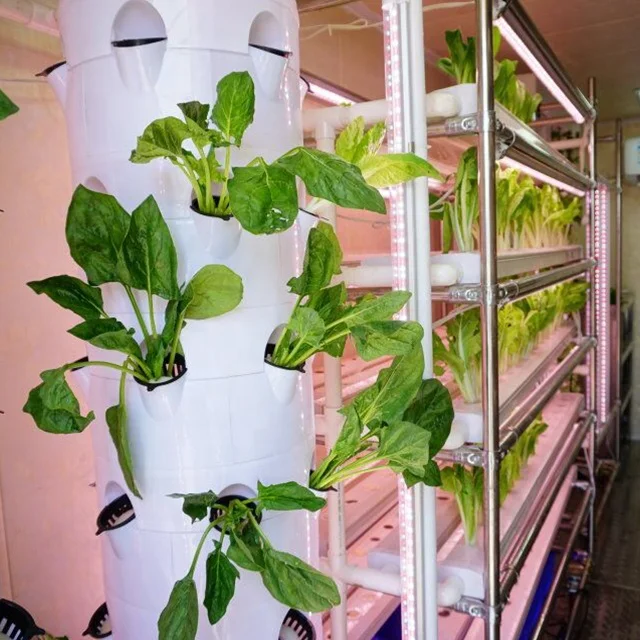 High Quality Eco-friendly Hydroponic Indoor Motorized Rotating Aeroponic Tower Grow Systems with Pump Container Greenhouse Farm
