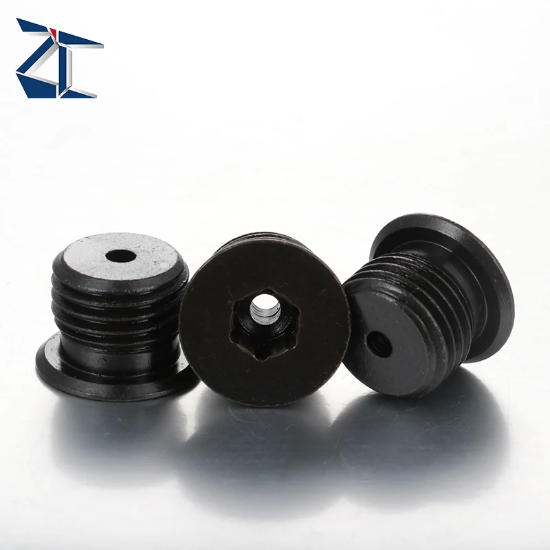 Custom Made Precision ASTM A325 GR A B C Steel Iron Carbon Steel Black Oxide Internal Drive Screw Plugs with Collar DIN908