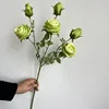 สีเขียว