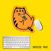 Gatto arancione grande 2