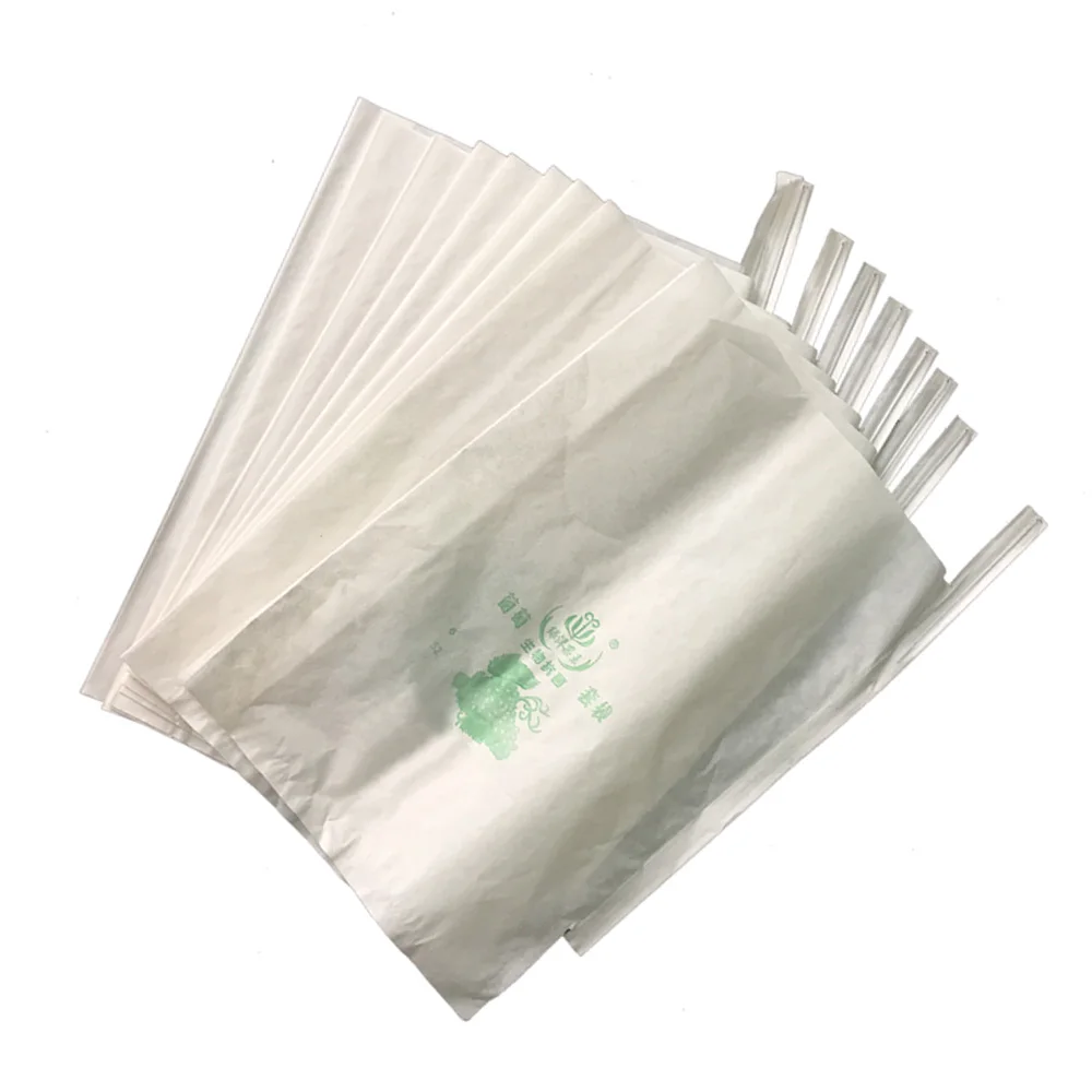 Pitaya Growing Paper For Agriculture Mango Water-proof Protective Bag