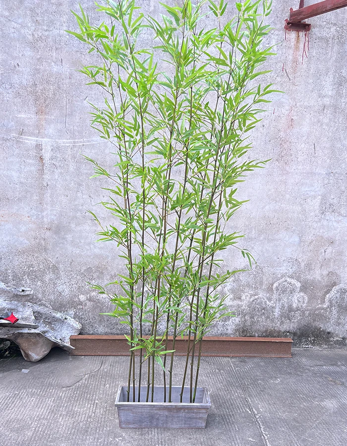 1,5 m Kunststoff-Bambusbaum aus Taiwan, knstliche Begrnungspflanze im  Pflanztopf, dekorativer Baum