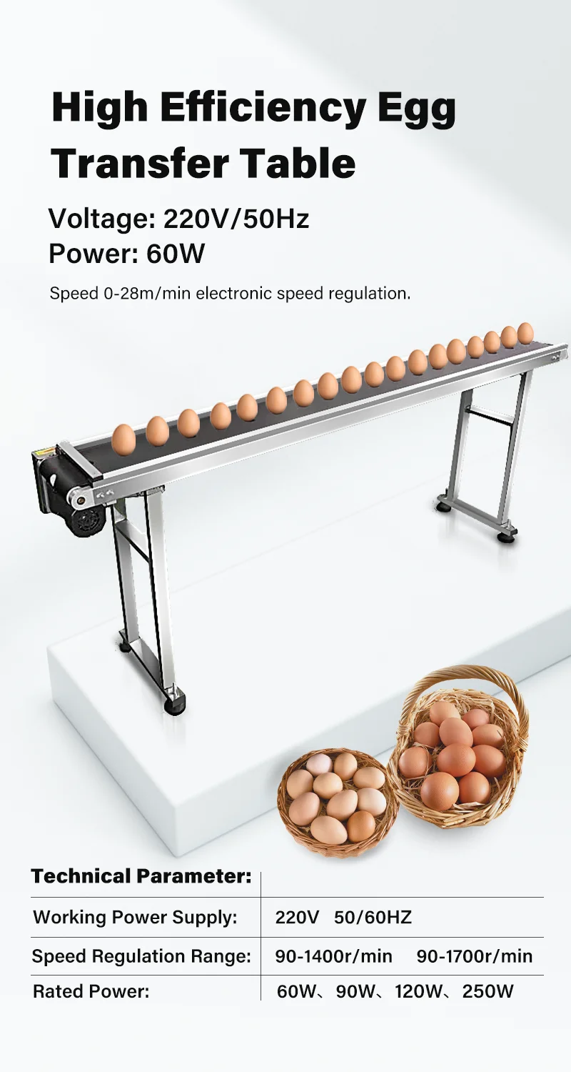 Portable Automatic Mini Conveyor For Food Packaging Egg Inkjet Coder