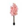 Warm Medium Pink