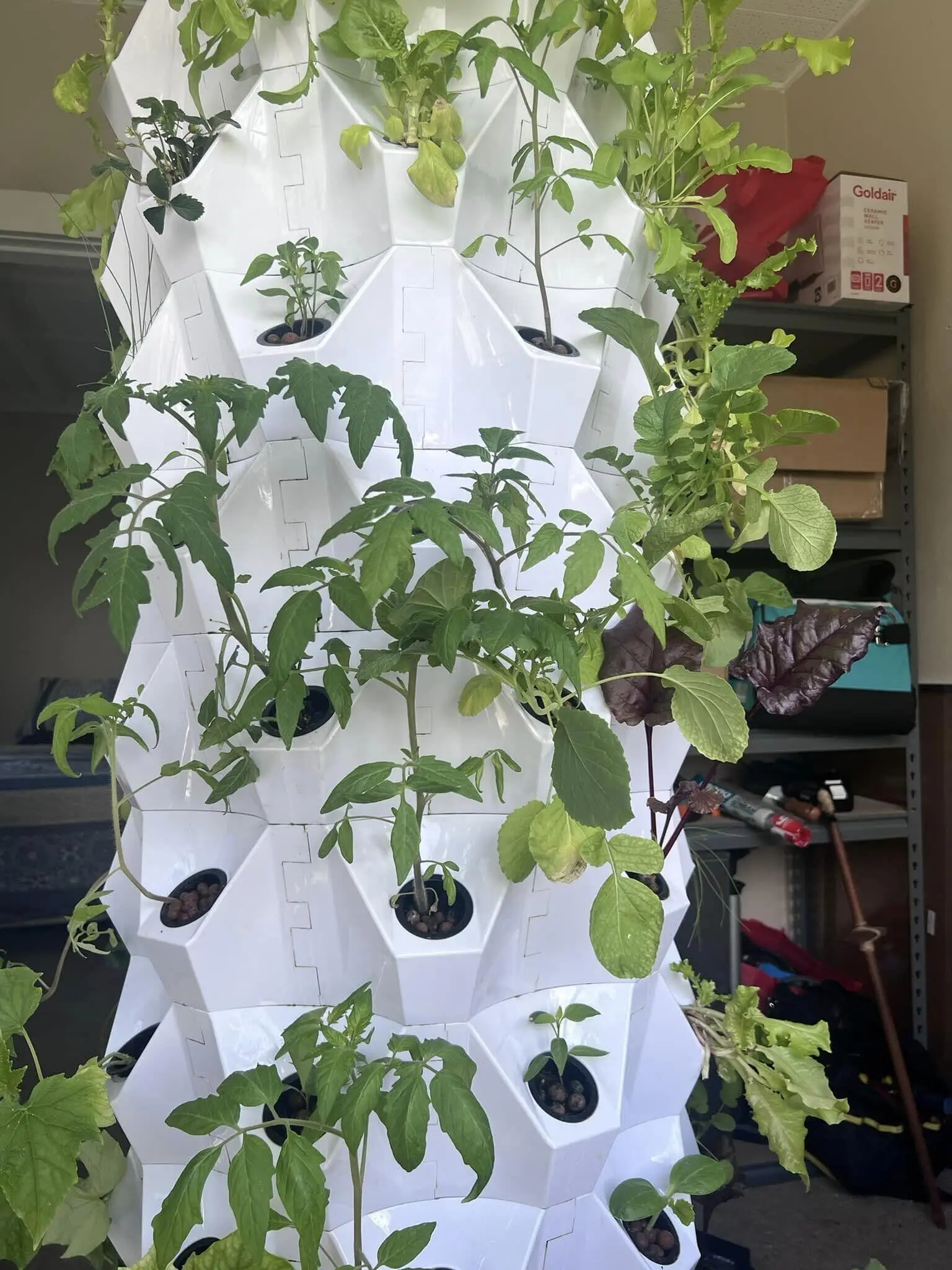 hydroponic strawberry tower