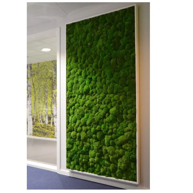 Yunnan Factory Wall Green Moss Wall Art Panels Preserved Forest Moss