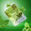 Menta