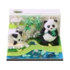 Pandas blancs
