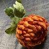 สีส้ม