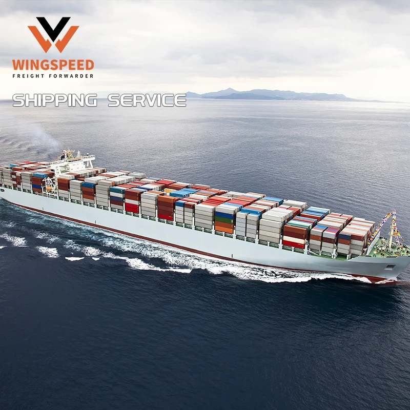 Sea Shipping Shenzhen Freight Forwarder Containers 20ft and 40ft High Cube