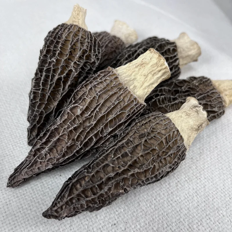 Dried Morel Mushrooms Morchella With Different Sizes From Yunnan Buy