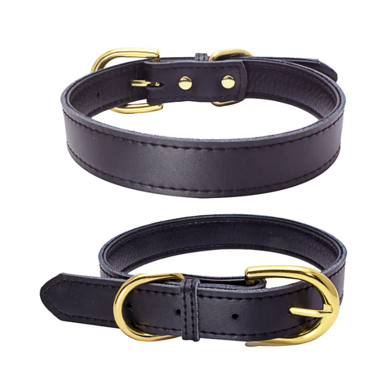 navy leather dog collar