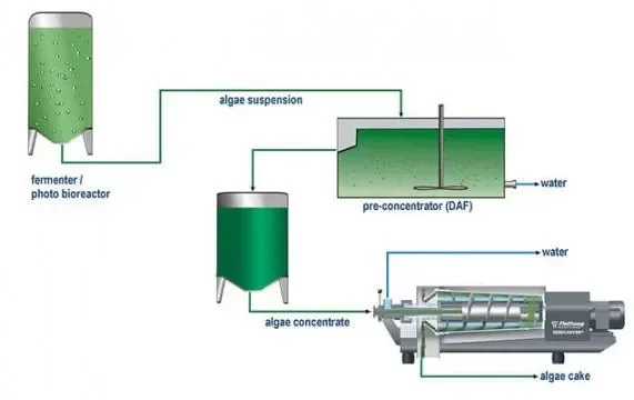 Shenzhou Industrial Separation Centrifuge Machine for Algae Harvesting