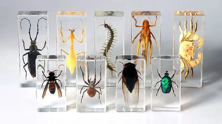 Large Drop-shaped Insect Amber Keychain: Spider & Beetle