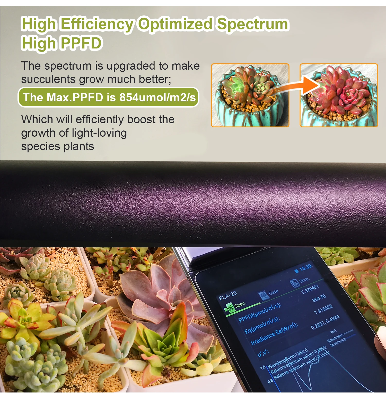 Diy Indoor Plant Stand With Full Spectrum Grow Light With Timer Growing Lamps Led Grow Light