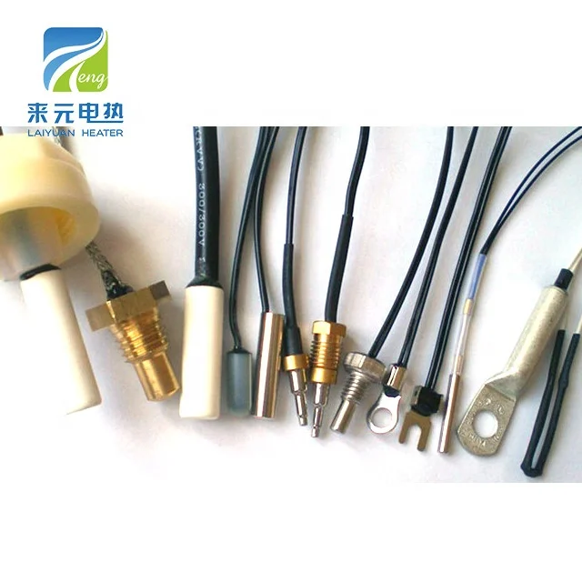 Laiyuan 2 Wire PT100 Type Sheath RTD Probe 5x60mm Waterproof SS316 Bearing Temperature Sensor