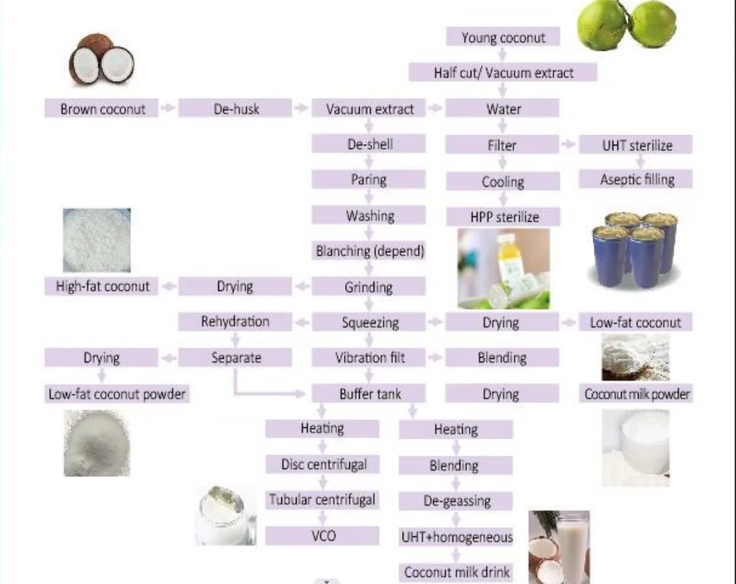 Automatic PLC Control Coconut Water Processing Coconut Cutting Machine ...