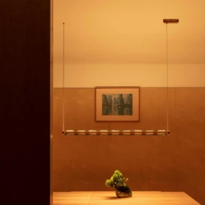 ECOJAS Decoration Modern Design Glass Chandelier for Restaurant Villa New Design Lighting