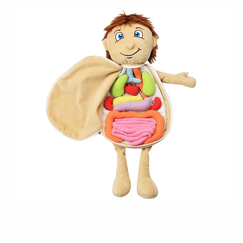 Custom Educational Human Body Anatomy Stuffed Organ Plushies Doll Kids