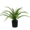 Plante de fougère 40cm-18 feuilles